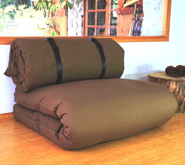 sofa-buckle