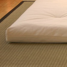 futon-cat